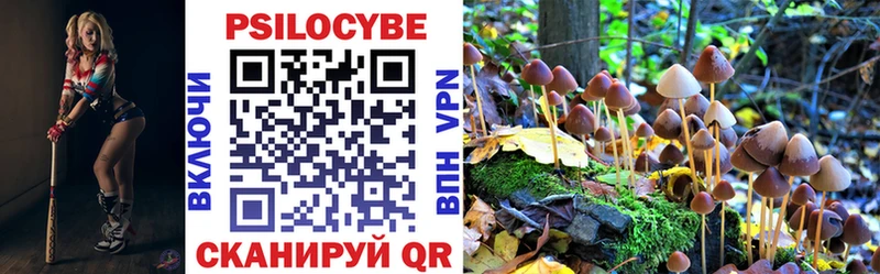 Галлюциногенные грибы мицелий Кузнецк